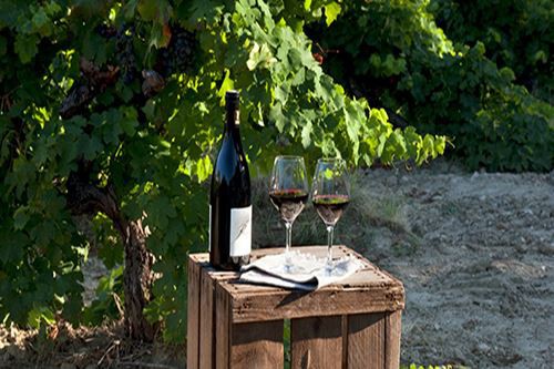 Каковы классификации винных бутылок?